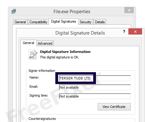 Screenshot of the TERSER TUDE LTD certificate